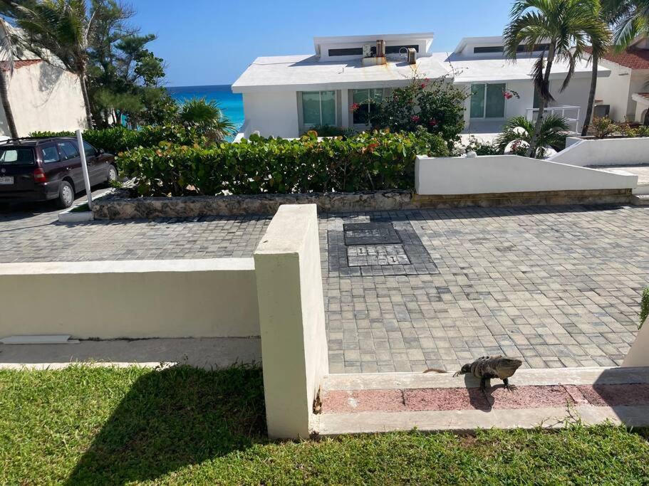 Cancun Oceanfront, Entire Apartment Dış mekan fotoğraf