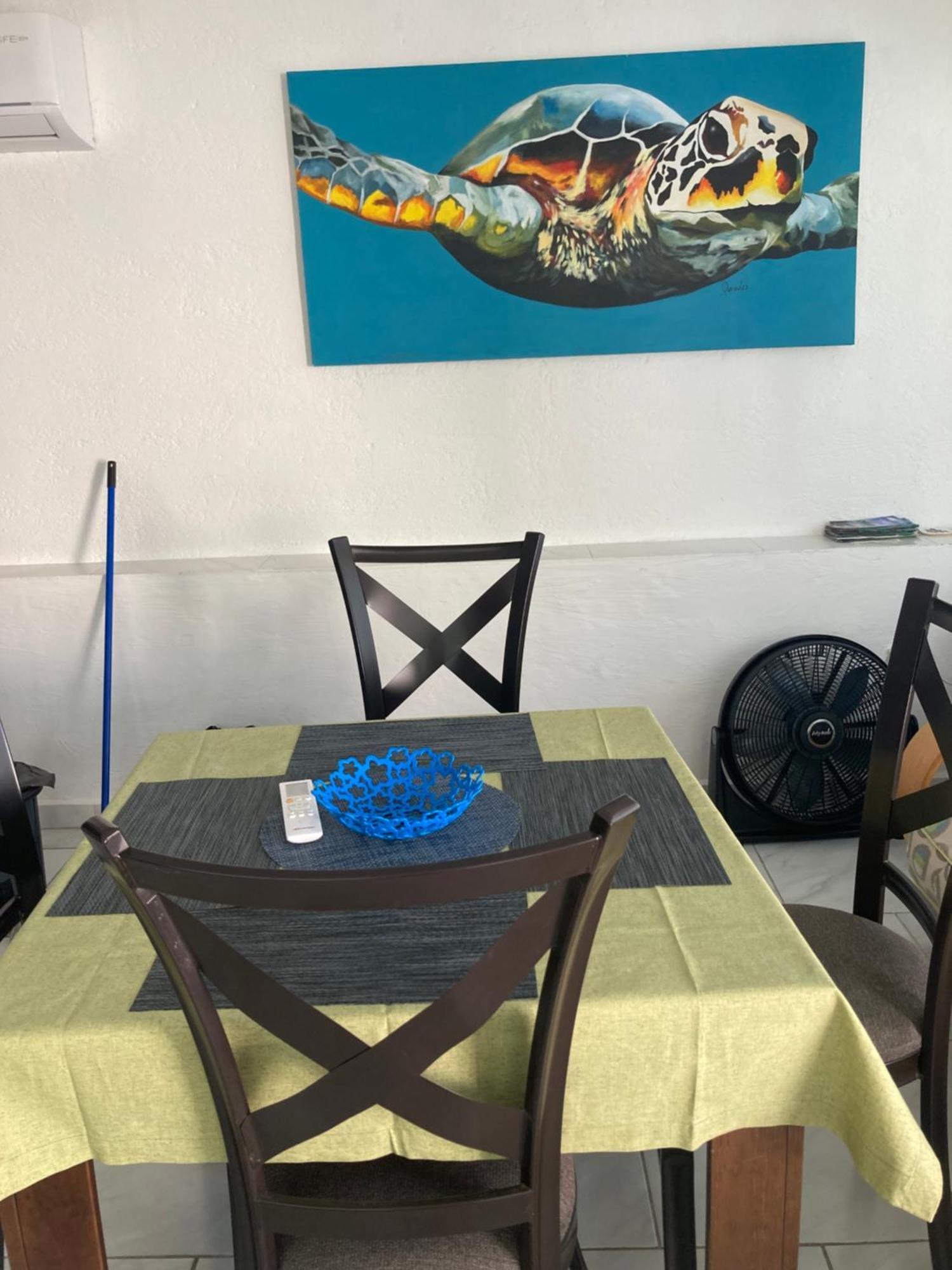 Cancun Oceanfront, Entire Apartment Dış mekan fotoğraf